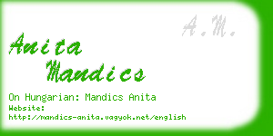 anita mandics business card